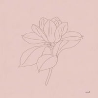 Магнолия линия рисуване розово от Moira Hershey