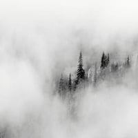 Щат Вашингтон, Национален парк Маунт Рейниер Перси в облаци Плакат за плакат от Jamie & Judy Wild US48JWI5308
